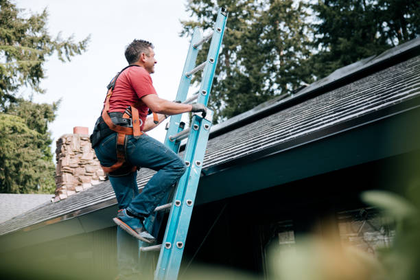 Professional Roofing Services in Forest Ranch, CA